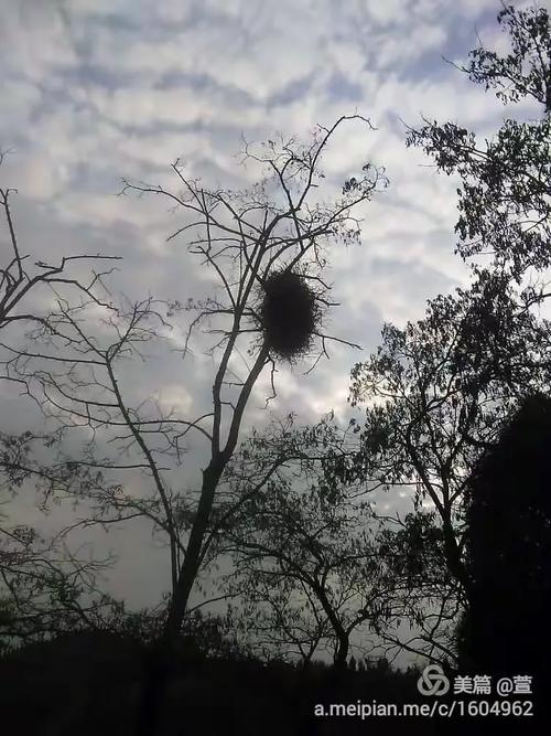 云影天光拾趣 一场与光影的对话