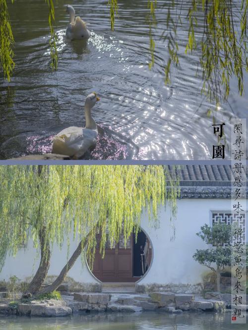 游园惊梦·云影光寻